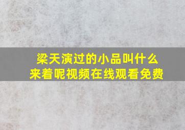 梁天演过的小品叫什么来着呢视频在线观看免费