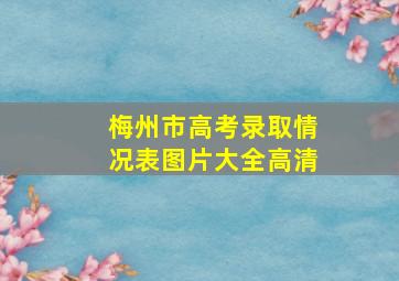 梅州市高考录取情况表图片大全高清