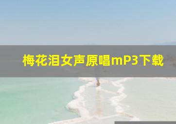 梅花泪女声原唱mP3下载