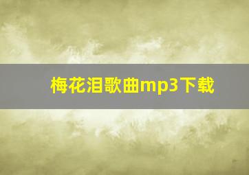 梅花泪歌曲mp3下载