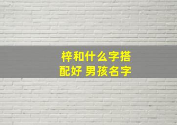 梓和什么字搭配好 男孩名字