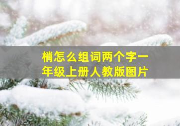 梢怎么组词两个字一年级上册人教版图片