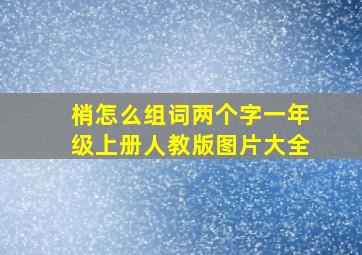 梢怎么组词两个字一年级上册人教版图片大全