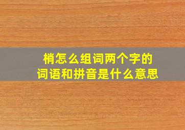 梢怎么组词两个字的词语和拼音是什么意思