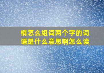 梢怎么组词两个字的词语是什么意思啊怎么读