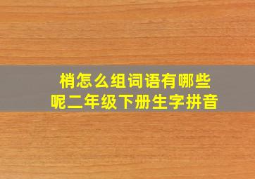 梢怎么组词语有哪些呢二年级下册生字拼音