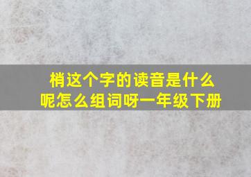 梢这个字的读音是什么呢怎么组词呀一年级下册