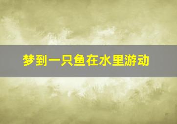 梦到一只鱼在水里游动