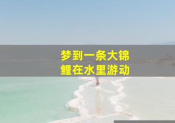 梦到一条大锦鲤在水里游动