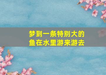 梦到一条特别大的鱼在水里游来游去