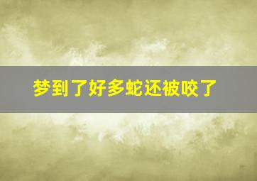 梦到了好多蛇还被咬了