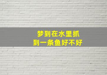 梦到在水里抓到一条鱼好不好