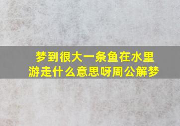 梦到很大一条鱼在水里游走什么意思呀周公解梦