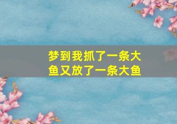 梦到我抓了一条大鱼又放了一条大鱼