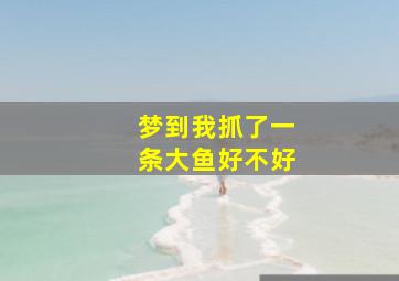 梦到我抓了一条大鱼好不好