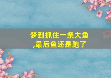 梦到抓住一条大鱼,最后鱼还是跑了