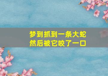 梦到抓到一条大蛇然后被它咬了一口