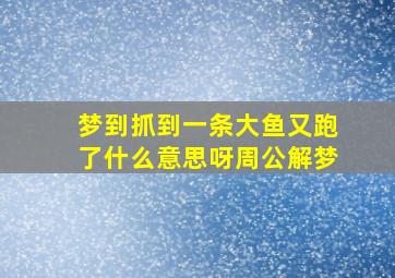 梦到抓到一条大鱼又跑了什么意思呀周公解梦