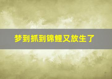 梦到抓到锦鲤又放生了