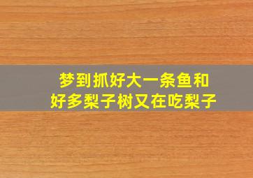 梦到抓好大一条鱼和好多梨子树又在吃梨子