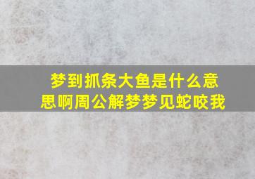 梦到抓条大鱼是什么意思啊周公解梦梦见蛇咬我