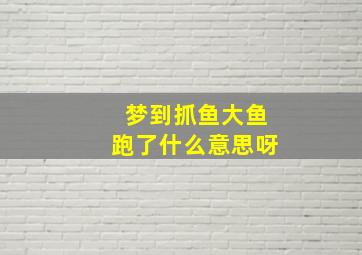 梦到抓鱼大鱼跑了什么意思呀