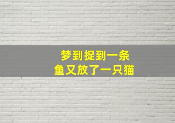 梦到捉到一条鱼又放了一只猫