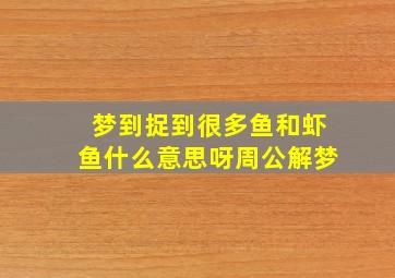 梦到捉到很多鱼和虾鱼什么意思呀周公解梦