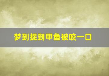 梦到捉到甲鱼被咬一口