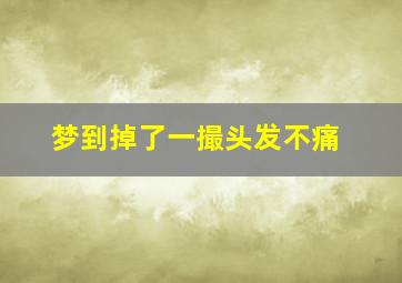 梦到掉了一撮头发不痛