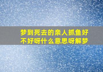 梦到死去的亲人抓鱼好不好呀什么意思呀解梦