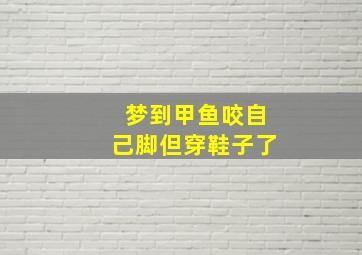 梦到甲鱼咬自己脚但穿鞋子了