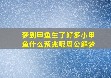 梦到甲鱼生了好多小甲鱼什么预兆呢周公解梦