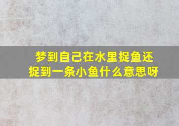 梦到自己在水里捉鱼还捉到一条小鱼什么意思呀