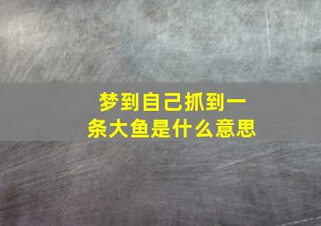 梦到自己抓到一条大鱼是什么意思