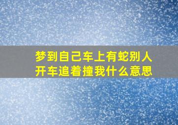 梦到自己车上有蛇别人开车追着撞我什么意思