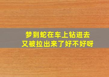 梦到蛇在车上钻进去又被拉出来了好不好呀