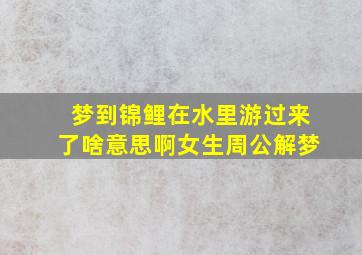 梦到锦鲤在水里游过来了啥意思啊女生周公解梦