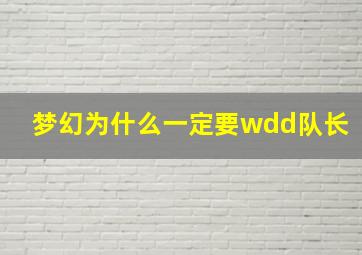 梦幻为什么一定要wdd队长