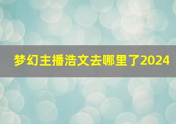 梦幻主播浩文去哪里了2024