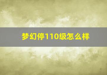 梦幻停110级怎么样