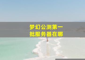 梦幻公测第一批服务器在哪