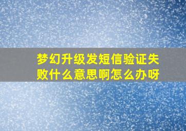 梦幻升级发短信验证失败什么意思啊怎么办呀