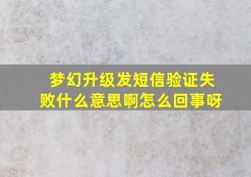 梦幻升级发短信验证失败什么意思啊怎么回事呀