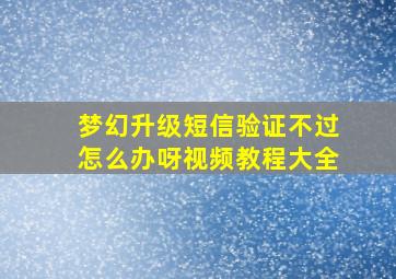 梦幻升级短信验证不过怎么办呀视频教程大全