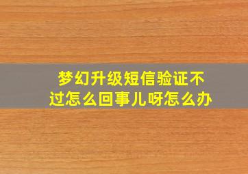 梦幻升级短信验证不过怎么回事儿呀怎么办