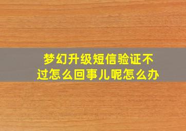 梦幻升级短信验证不过怎么回事儿呢怎么办