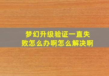 梦幻升级验证一直失败怎么办啊怎么解决啊