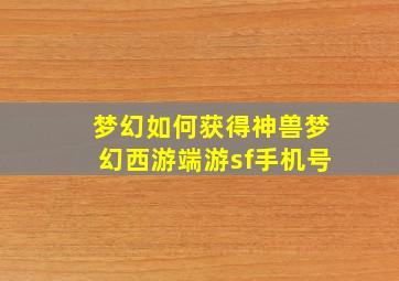 梦幻如何获得神兽梦幻西游端游sf手机号