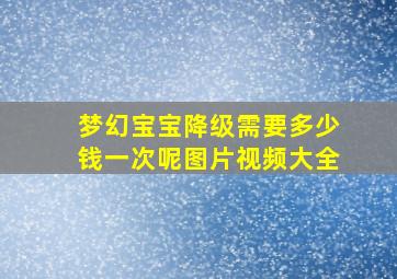 梦幻宝宝降级需要多少钱一次呢图片视频大全